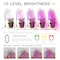 Homevenus 4 Heads Full Spectrum LED Grow Lights With Tripod For Indoor Plants GLT04 - alternate 5